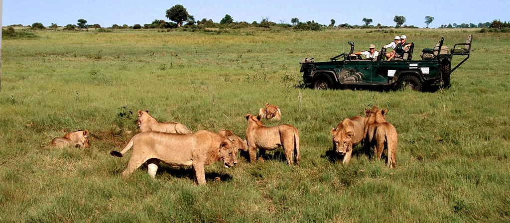 Best Safari Destinations
