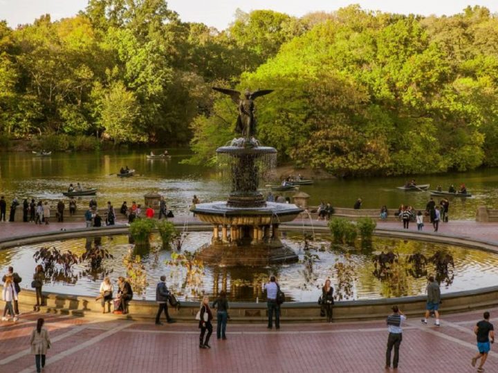 What to do in central park?
