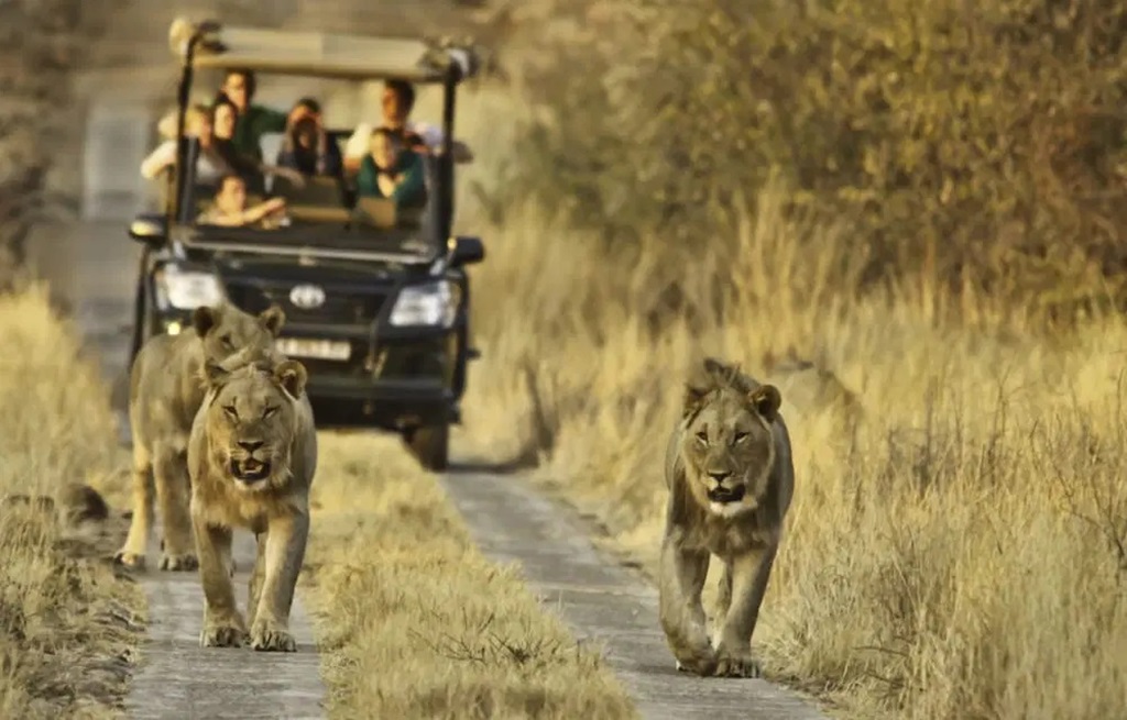Kruger National Park is a Top Safari Destinations